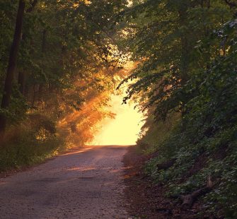 Palliativ-Pflege - Mitarbeiterin mit Spezialisierung bei M&M