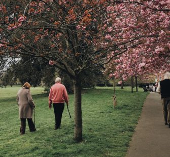 spaziergang tagesbetreuung für senioren